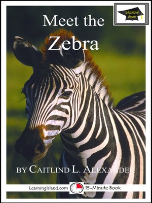 cover image of Meet the Zebra